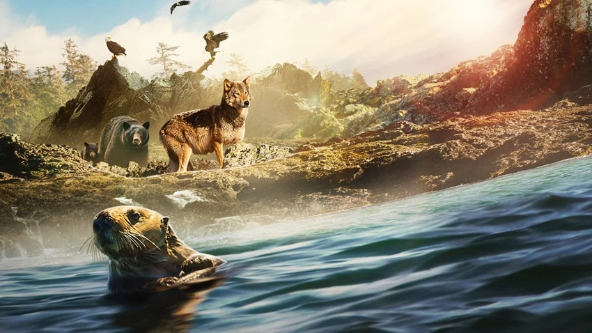 Download Island of the Sea Wolves | 2022 | Season 1 | Dual Audio | Hindi-English | Netflix Original Web Series | 480p 720p 1080p