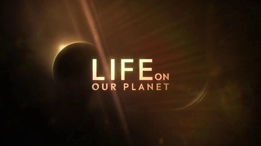 Download Life On Our Planet | 2023 | Season 1 | {Hindi- English}| Netflix Original Web Series | 480p 720p 1080p