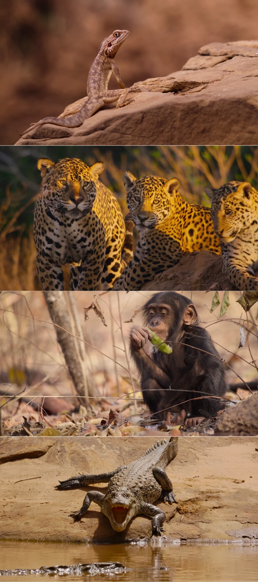 DownloadOur Living World | 2024 | Season 1 | {Hindi-English}| Web Series | 480p 720p 1080p
