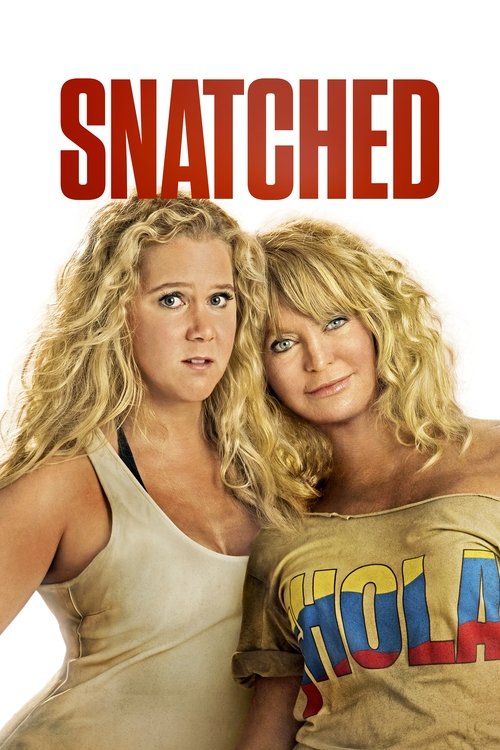 Download Snatched (2017) Hindi-English BluRay 480p 720p 1080p