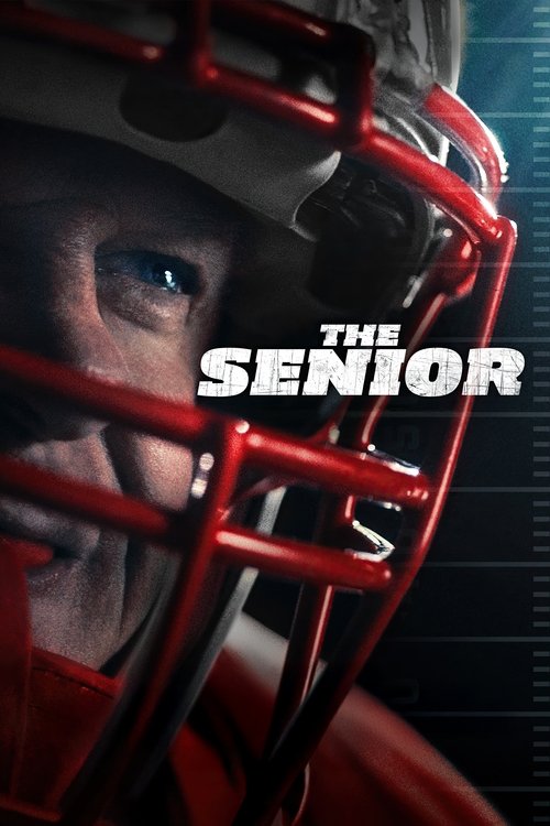 Download The Senior (2025) Hindi (DD5.1) & English BluRay 480p 720p 1080p