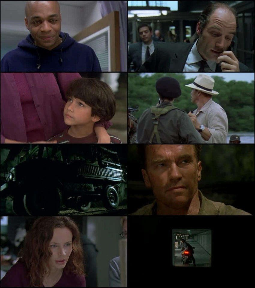 Download Collateral Damage | 2002 | Hindi-English | BluRay | Dual Audio | Full Movie 480p 720p 1080p