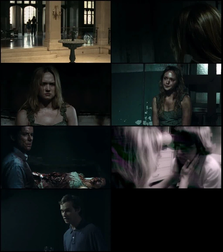 Download Darkroom | 2013 | Hindi-English | Dual Audio | BluRay | Full Movie 480p 720p 1080p