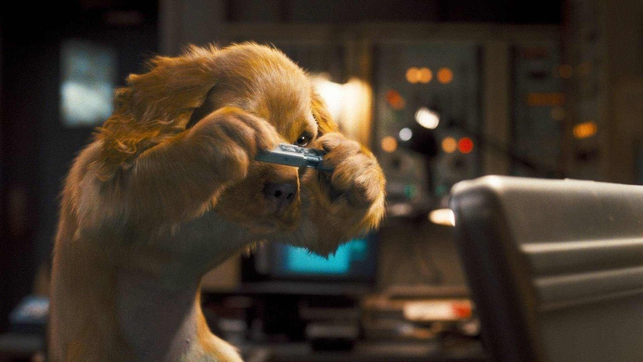 Download Cats & Dogs: The Revenge of Kitty Galore (2010) Hindi ORG + English BluRay 480p 720p 1080p